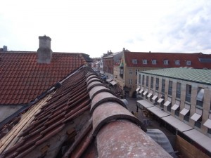 R0012591_800x600
