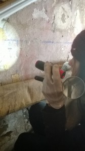 WP_20141203_021